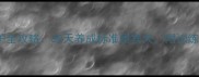 超萌小泰迪养护全攻略30天养成标准贵宾犬附训练饮食健康指南
