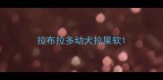 拉布拉多幼犬拉屎软
