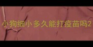 小狗细小多久能打疫苗吗