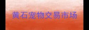 黄石宠物交易市场