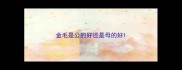 金毛是公的好还是母的好