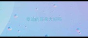 泰迪的耳朵大好吗