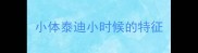 小体泰迪小时候的特征
