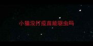 小猫没打疫苗能驱虫吗