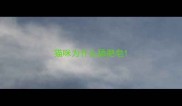 猫咪为什么舔肥皂