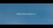 狗狗打疫苗分别是什么