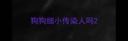狗狗细小传染人吗