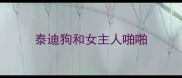 泰迪狗和女主人啪啪