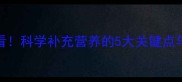 3月龄幼犬必看科学补充营养的5大关键点与喂养误区全