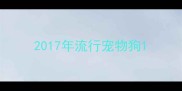 2017年流行宠物狗