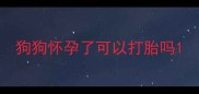狗狗怀孕了可以打胎吗