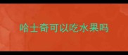 哈士奇可以吃水果吗