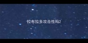 拉布拉多攻击性吗