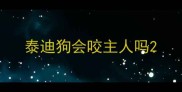 泰迪狗会咬主人吗