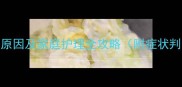 三个月幼犬咳嗽原因及家庭护理全攻略附症状判断与就医指南