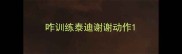 咋训练泰迪谢谢动作