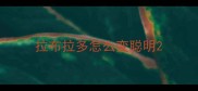 拉布拉多怎么变聪明