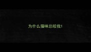 为什么猫咪总咬我