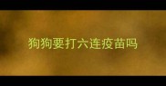 狗狗要打六连疫苗吗