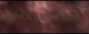 云南白药狗狗可以吃吗安全使用指南与注意事项全