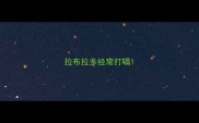拉布拉多经常打嗝