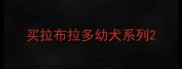 买拉布拉多幼犬系列