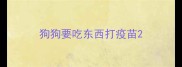 狗狗要吃东西打疫苗