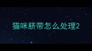 猫咪脐带怎么处理
