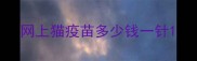 网上猫疫苗多少钱一针