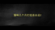 猫咪几个月打疫苗合适