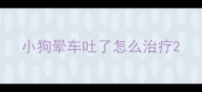 小狗晕车吐了怎么治疗