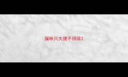 猫咪只大便不排尿