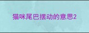 猫咪尾巴摆动的意思