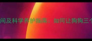 幼犬停止吠叫最佳时间及科学养护指南如何让狗狗三个月内养成安静习惯