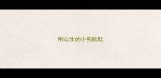 刚出生的小狗脱肛