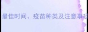 猫咪疫苗接种全流程最佳时间疫苗种类及注意事项附科学接种指南