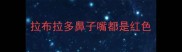 拉布拉多鼻子嘴都是红色