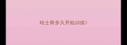 哈士奇多久开始训练