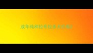 成年纯种拉布拉多犬价格