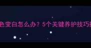 金毛幼犬期毛色变白怎么办5个关键养护技巧拯救奶狗白毛