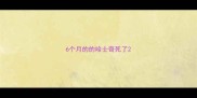 6个月的的哈士奇死了
