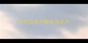 拉布拉多犬最长活多久