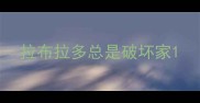 拉布拉多总是破坏家