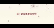 哈士奇和博美的宝宝