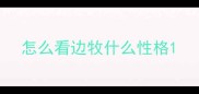怎么看边牧什么性格