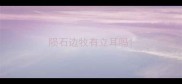 陨石边牧有立耳吗