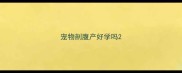 宠物剖腹产好学吗