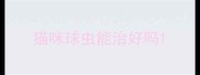 猫咪球虫能治好吗
