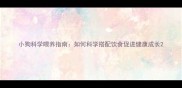 小狗科学喂养指南如何科学搭配饮食促进健康成长