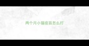 两个月小猫疫苗怎么打